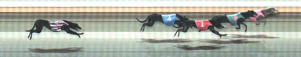 Photo finish for Warrnambool Race 9