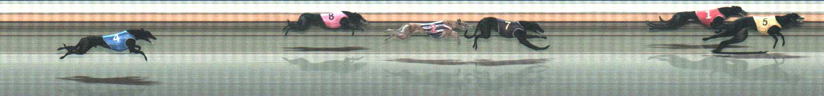 Photo finish for Warrnambool Race 10