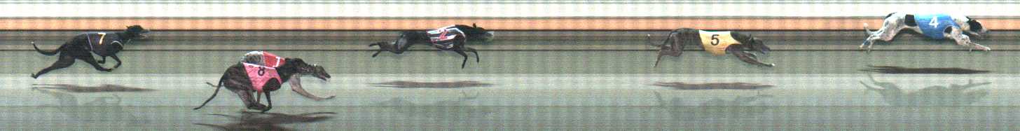 Photo finish for Warrnambool Race 11