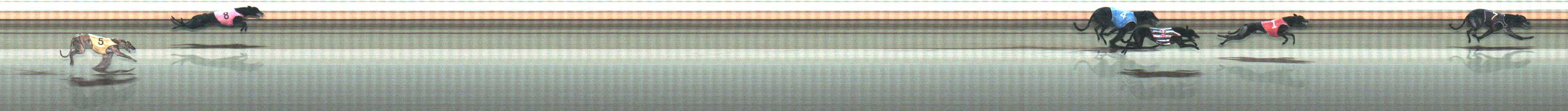 Photo finish for Warrnambool Race 12