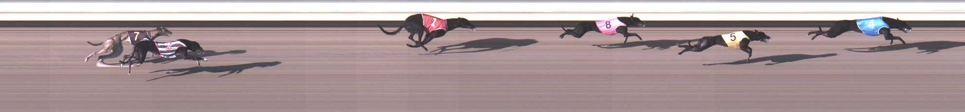 Photo finish for Warrnambool Race 1