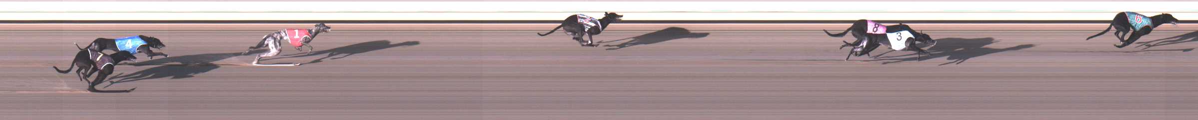 Photo finish for Warrnambool Race 2