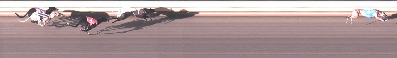 Photo finish for Warrnambool Race 3