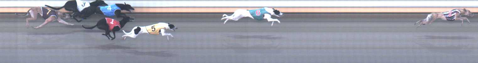 Photo finish for Warrnambool Race 5