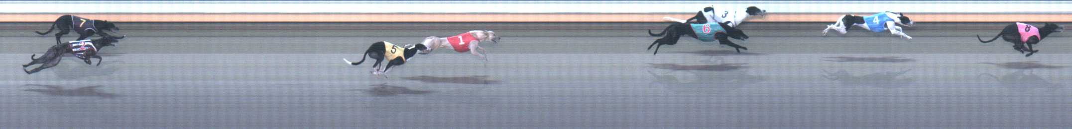 Photo finish for Warrnambool Race 6