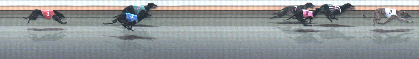 Photo finish for Warrnambool Race 7