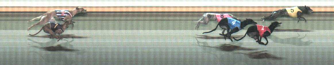 Photo finish for Warrnambool Race 10