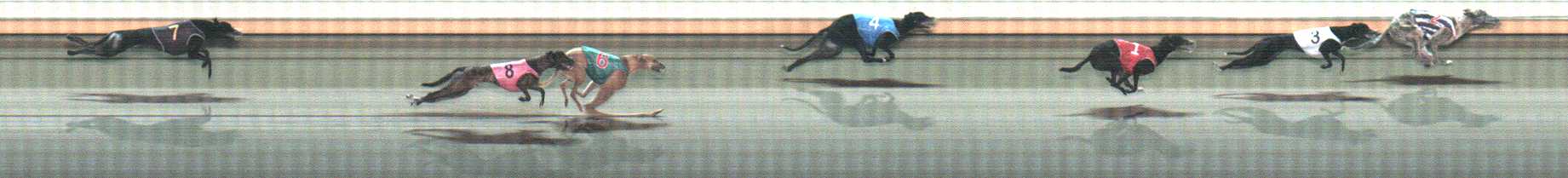 Photo finish for Warrnambool Race 11