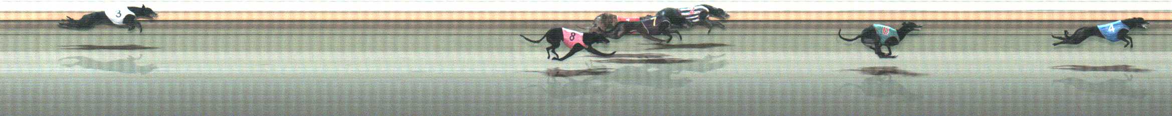 Photo finish for Warrnambool Race 12