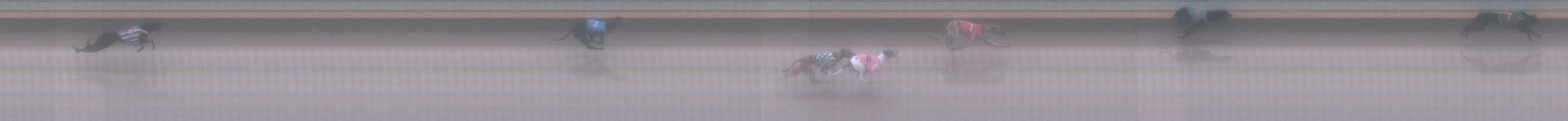 Photo finish for Warrnambool Race 1