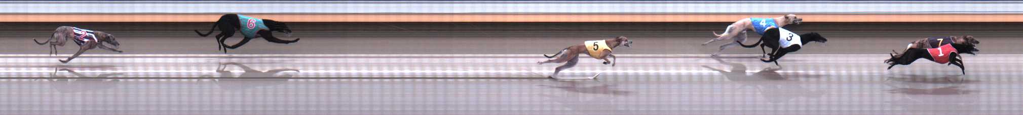 Photo finish for Warrnambool Race 2