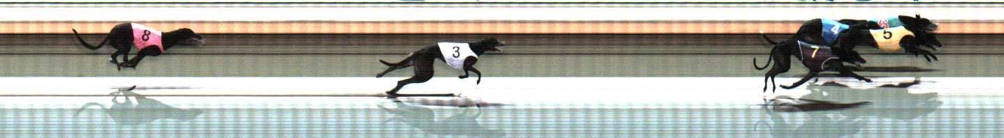 Photo finish for Warrnambool Race 8
