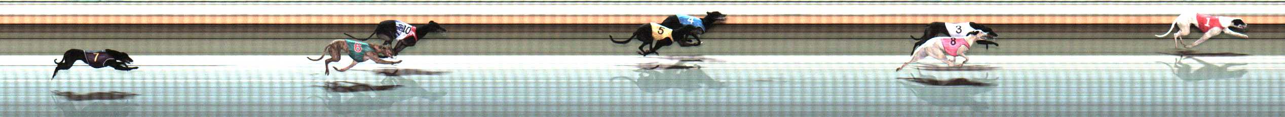 Photo finish for Warrnambool Race 9