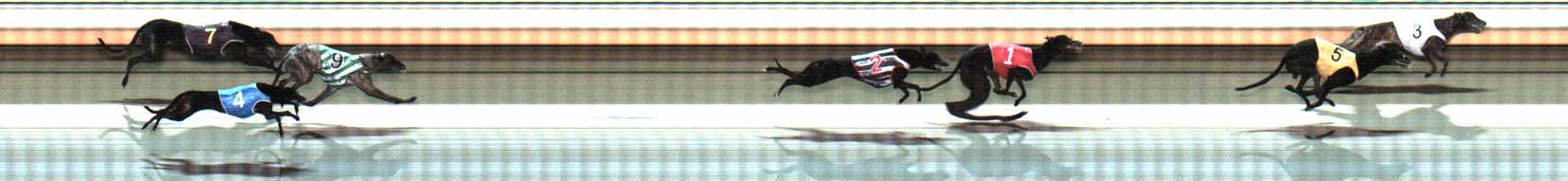 Photo finish for Warrnambool Race 10
