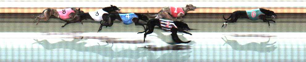 Photo finish for Warrnambool Race 12