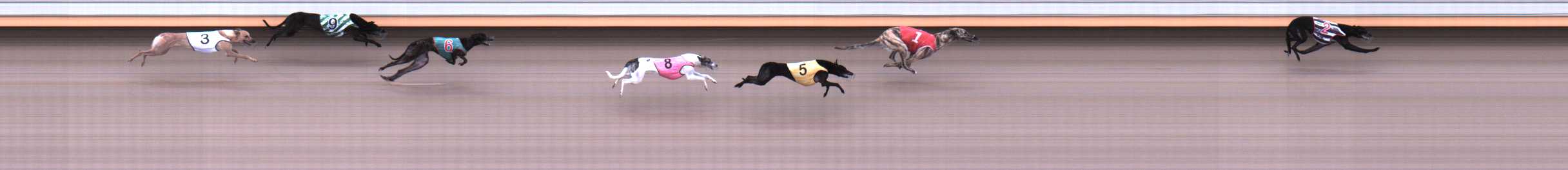 Photo finish for Warrnambool Race 1