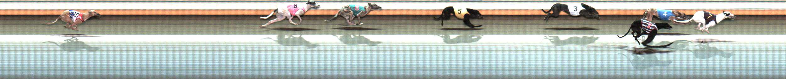 Photo finish for Warrnambool Race 10