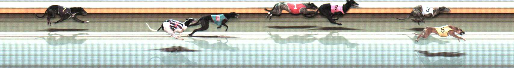 Photo finish for Warrnambool Race 11