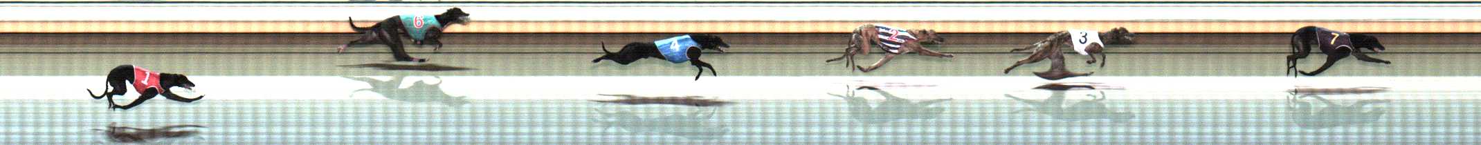 Photo finish for Warrnambool Race 12