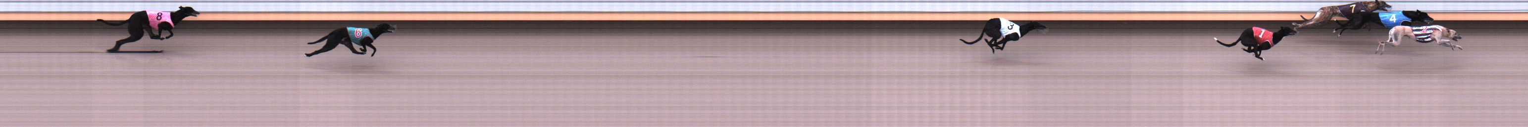 Photo finish for Warrnambool Race 2