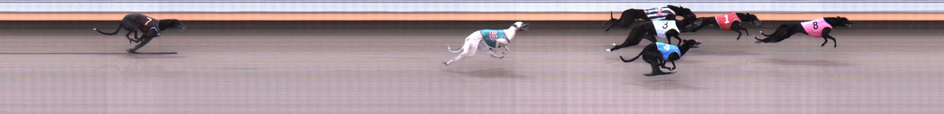 Photo finish for Warrnambool Race 3