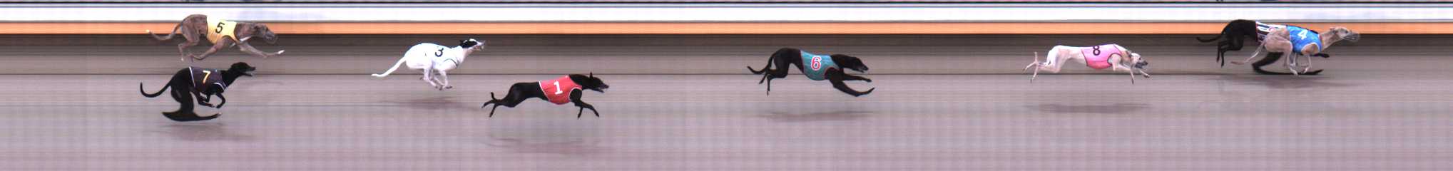 Photo finish for Warrnambool Race 4