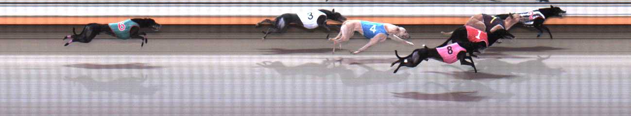 Photo finish for Warrnambool Race 6
