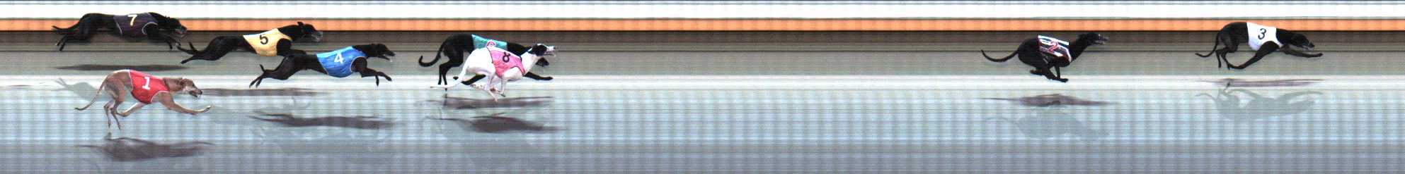 Photo finish for Warrnambool Race 7