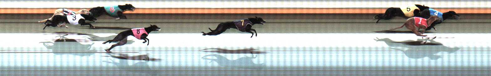 Photo finish for Warrnambool Race 9