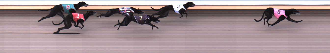 Photo finish for Warrnambool Race 1