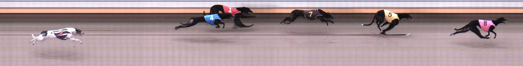 Photo finish for Warrnambool Race 2