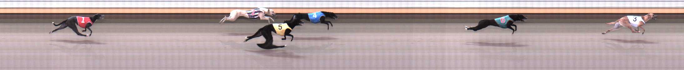 Photo finish for Warrnambool Race 3