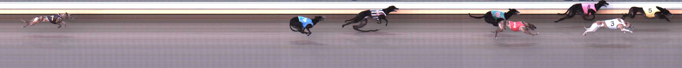 Photo finish for Warrnambool Race 4