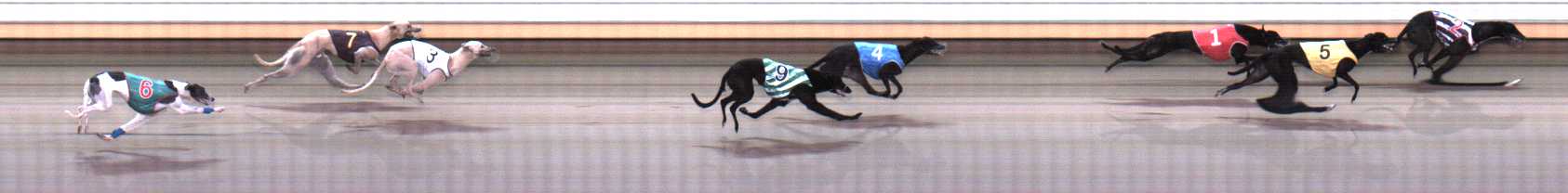 Photo finish for Warrnambool Race 5