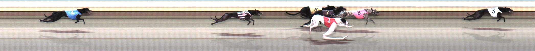 Photo finish for Warrnambool Race 6