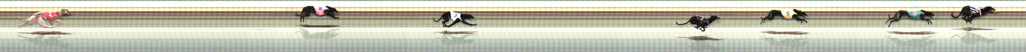 Photo finish for Warrnambool Race 7