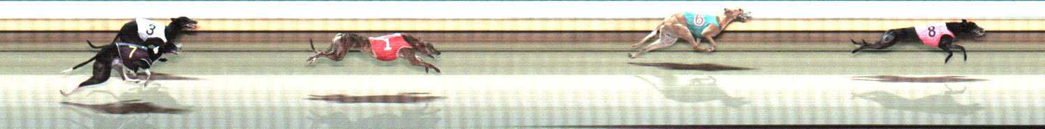 Photo finish for Warrnambool Race 8