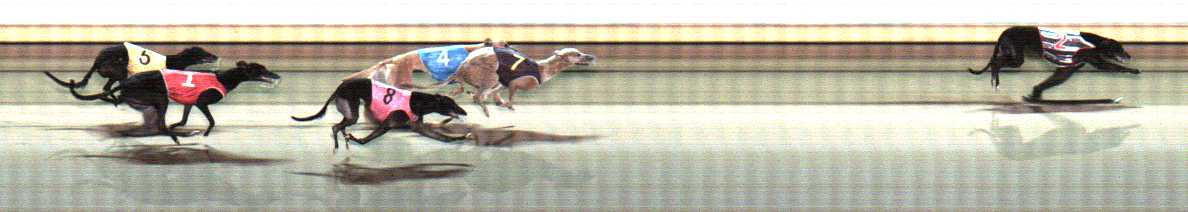 Photo finish for Warrnambool Race 9