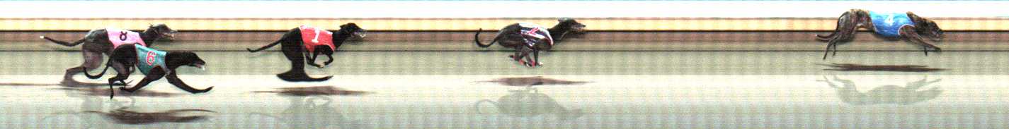Photo finish for Warrnambool Race 10