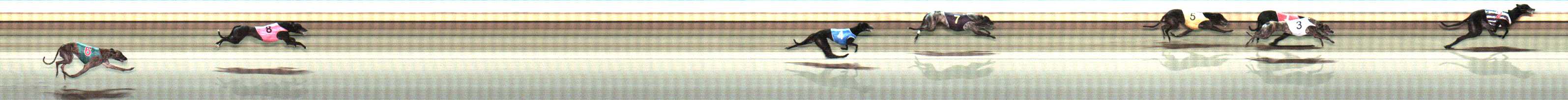 Photo finish for Warrnambool Race 11