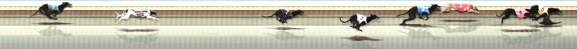 Photo finish for Warrnambool Race 12