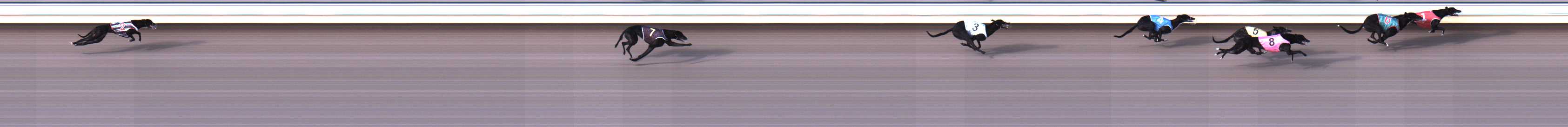 Photo finish for Warrnambool Race 1