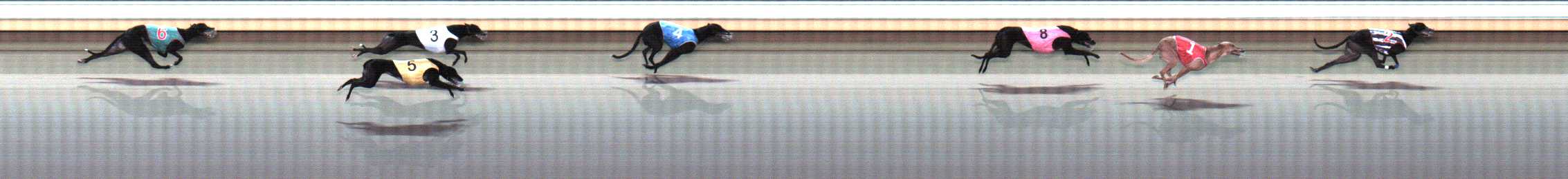 Photo finish for Warrnambool Race 10