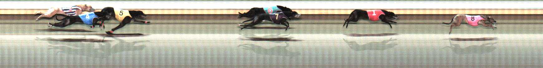 Photo finish for Warrnambool Race 11