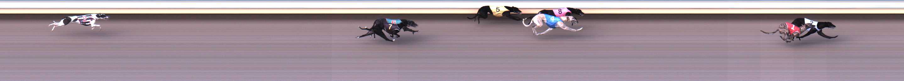 Photo finish for Warrnambool Race 2