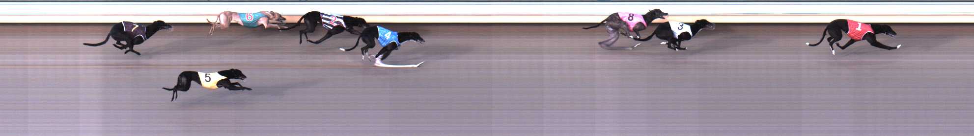 Photo finish for Warrnambool Race 3