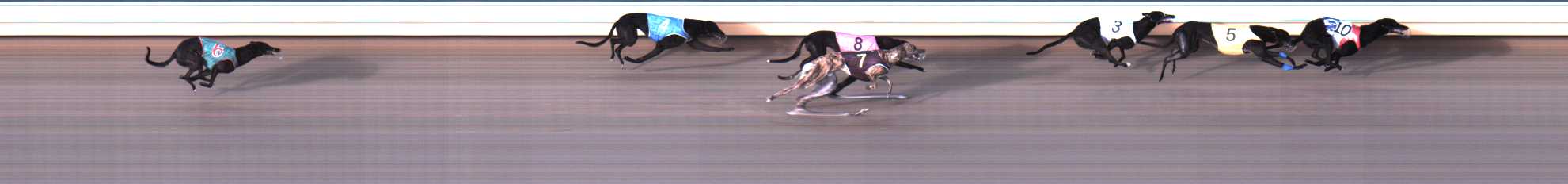 Photo finish for Warrnambool Race 4