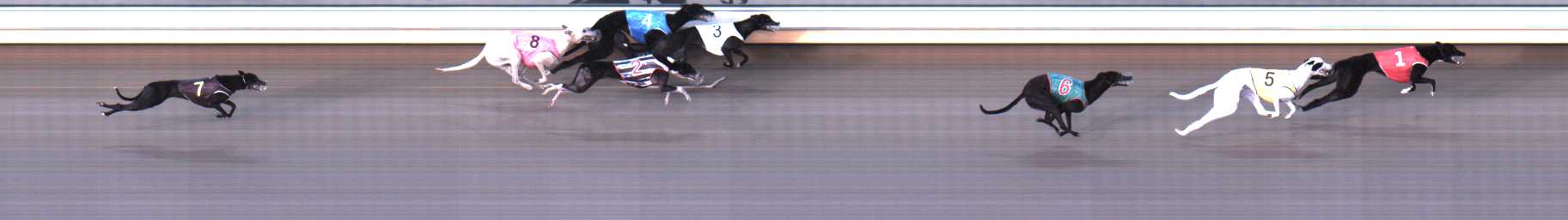 Photo finish for Warrnambool Race 5