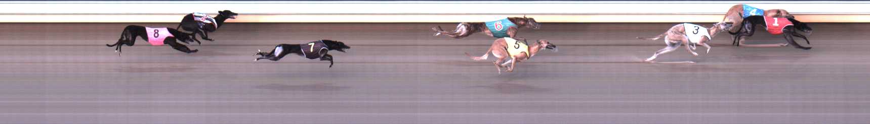 Photo finish for Warrnambool Race 6