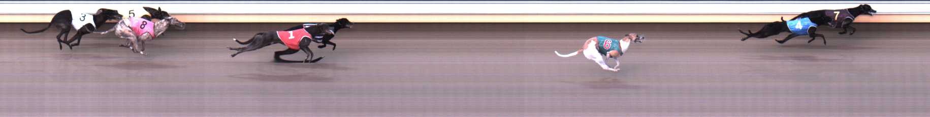 Photo finish for Warrnambool Race 7